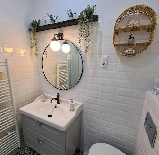 Oldie Goldie Maribor