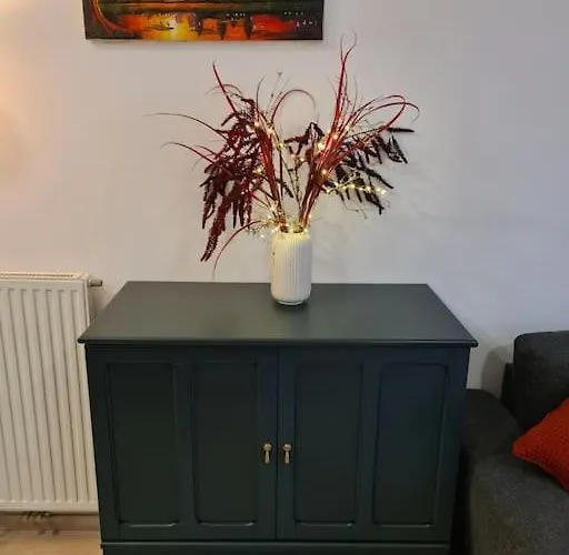 Oldie Goldie Appartement