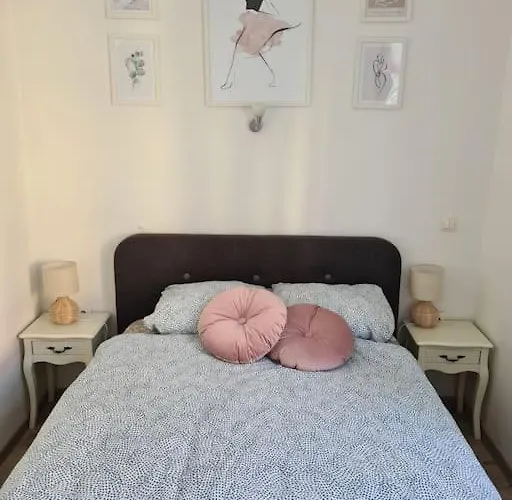 Oldie Goldie Maribor